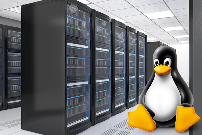 Importance of Linux Server
